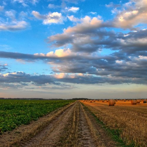 field, road, rural-213364.jpg